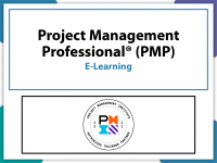 Project Management Professional (PMP)