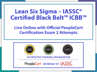 Lean Six Sigma Black LO